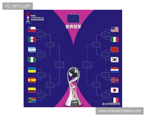 法国队在世界杯中的战绩变化:不同阶段的表现与球队发展轨迹 法国队在世界杯中的战绩变化:不同阶段的表现与球队发展轨迹